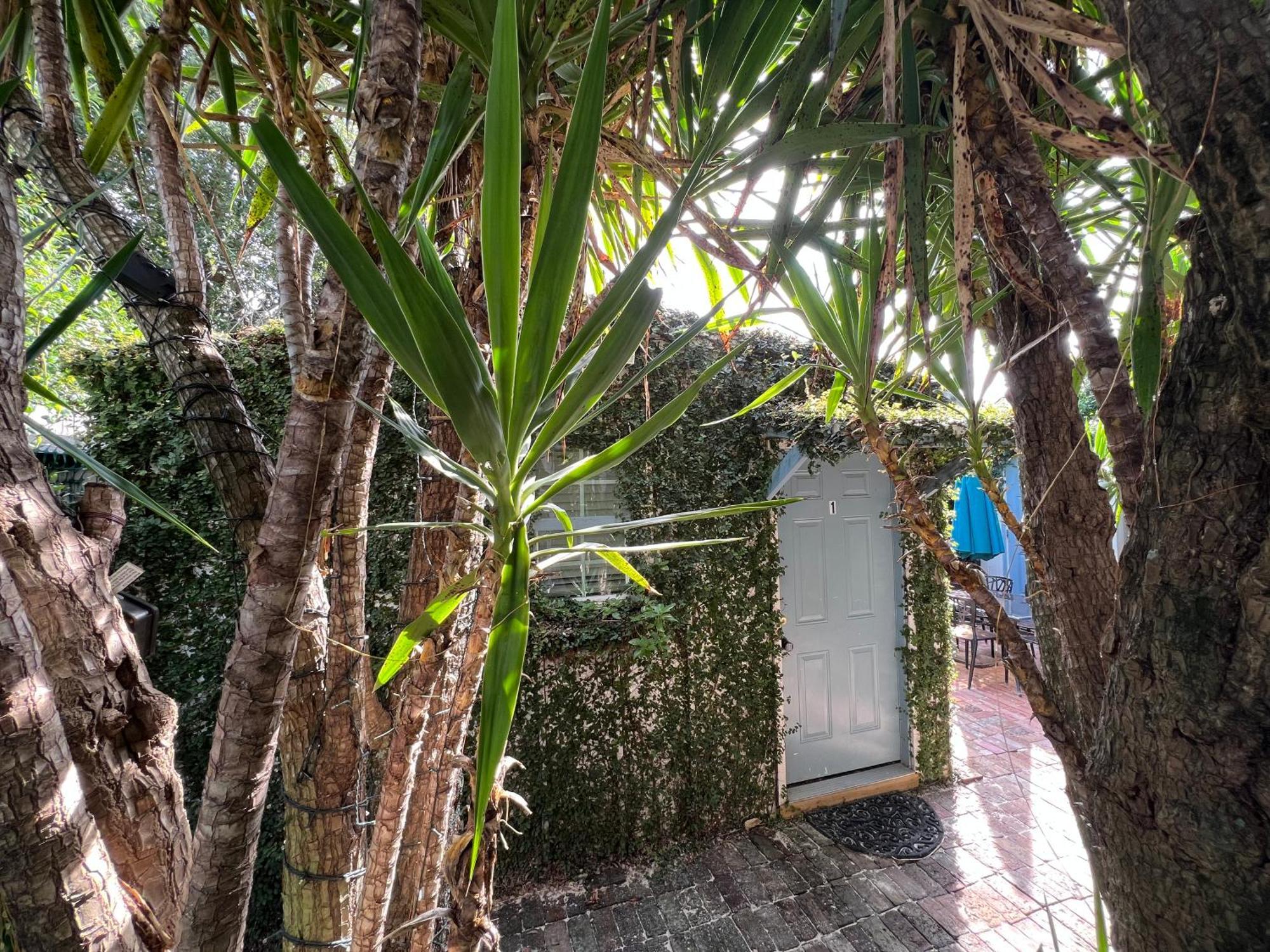 Studio Apartment Antonine นิวออร์ลีนส์ ภายนอก รูปภาพ